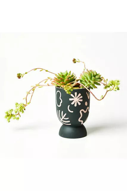 POCKET PLANTER STAR PINK